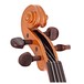 Stentor Harlequin Violin Outfit, Orange, 4/4 head