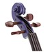 Stentor Harlequin Violin Outfit, Deep Purple, 3/4 head