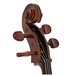 Stentor Student 1 Cello Outfit, 4/4 head