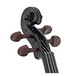 Stentor Harlequin Violin Outfit, Black, 3/4 head
