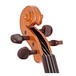 Stentor Harlequin Violin Outfit, Orange, 1/4 head