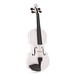 Stentor Harlequin Violin Outfit, White, 4/4 front