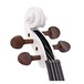 Stentor Harlequin Violin Outfit, White, 3/4 head