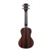 Kala Striped Ebony Acoustic Concert Ukulele, Natural Satin R