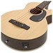 Hartwood Villanelle Electro Acoustic Bass Guitar