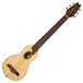 Washburn RO10 Acoustic, Natural