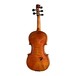 Bridge Tasman Electro-Acoustic Violin, Back