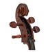 Stentor Student 1 Cello Outfit 1/8, head