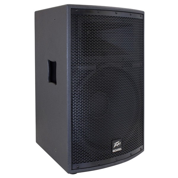 Peavey SP2 Speaker