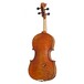 Bridge Tasman Electro-Acoustic Viola, Back