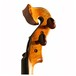 Bridge Golden Tasman Electro-Acoustic Violin, Headstock