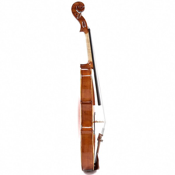 VIOLA
