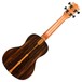 Kala KA-ZCT-C Ziricote Concert Ukulele Back