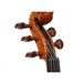 Bridge Golden Tasman Electro-Acoustic Violin, Headstock