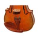 Bridge Golden Tasman Electro-Acoustic Violin, Tailpiece