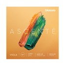 D'Addario Ascent&eacute; Viola String Set, Long Scale, Medium