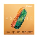D'Addario Ascent&eacute; Viola D String, Long Scale, Medium
