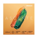 D'Addario Ascent&eacute; Viola D String, Medium Scale, Medium