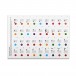 Colourful Key Stickers for 61 Note Keyboards