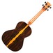 Kala KA-ZCT-T Ziricote Tenor Ukulele Back