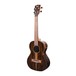 Kala KA-ZCT-T Ziricote Tenor Ukulele Left