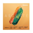 D'Addario Ascent&eacute; Viola D String, Extra-Short Scale, Medium