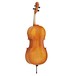 Hidersine Vivente Finetune Cello Outfit, 3/4 Size, Back