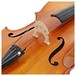 Hidersine Vivente Finetune Cello Outfit, 3/4 Size, Bridge