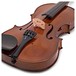 Stentor Student 2 Violin Outfit, 4/4 close