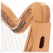 36 String Harp by Gear4music, Beech