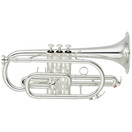 Yamaha YCR4330GSII  YCR4330GII Kornett f&uuml;r Fortgeschrittene, Silber