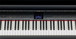 Roland LX-10F SuperNATURAL Digital Piano, Satin Black - panel