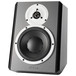 Dynaudio DBM50 Angled Desktop Monitor - main