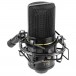 MXL 770 Microphone - Angled with Shock Mount