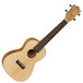 Tanglewood TUJ4 Java Concert Size Ukulele & Hard Case