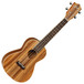 Tanglewood TUJ2 Java Concert Size Ukulele & Hard Case