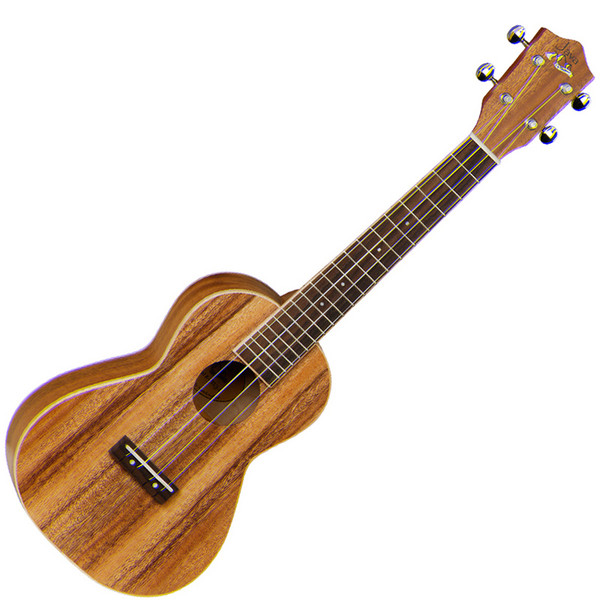 Tanglewood TUJ1 Java Concert Size Ukulele & Hard Case