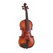 Primavera 200 Antiqued Violin Outfit Size 1/2