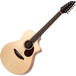 Breedlove Passport PLUS C250/Sbe 12 String Inc Breedlove Gig Bag