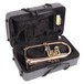 Odyssey OFG1300 Premiere Flugel Horn, Case