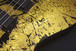 Ibanez GIO GRGA012LTD Limited Edition Electric Guitar, Gold Leaf - finish