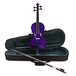 Rainbow Fantasia Violinen-Set in 4/4-Größe, violett