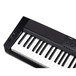 Casio CDP-200R Digital Piano, Limited Edition 2