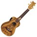 Ortega LIZARD-CC-GB Concert Ukulele, Dao