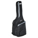 Ortega R190G Classical Guitar, Solid Cedar Top - bag