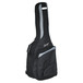Ortega R171 Classical Guitar, Solid Cedar Top - bag