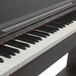 Minster MLP300 Digital Piano, Rosewood keys