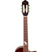 Ortega FDSM Frank Dellé Signature Electro Classical Guitar, Spruce Neck