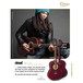 Ortega FDSM Frank Dellé Signature Electro Classical Guitar, Spruce Artist