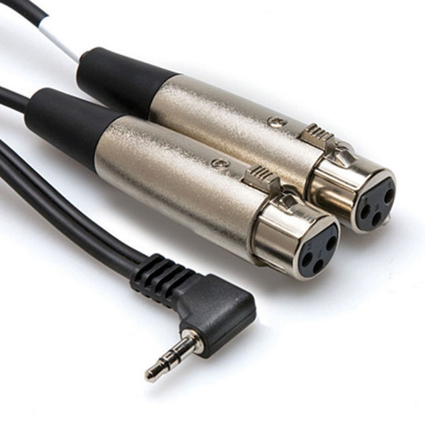 Hosa Camcorder Mic Cable, Dual XLR3F Right-angle 3.5mm TRS, 2ft